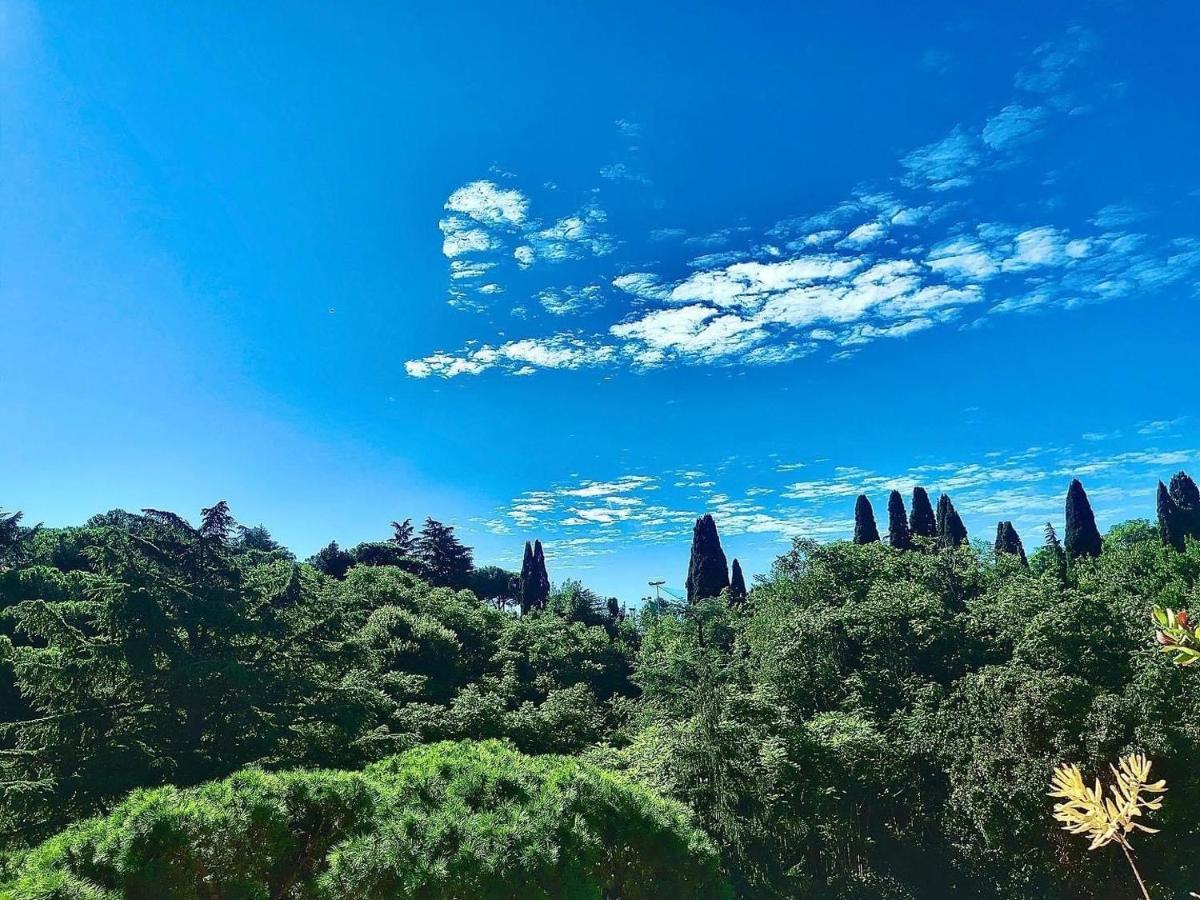 Happy Holiday In Rome B&B Exteriör bild