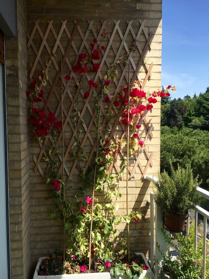 Happy Holiday In Rome B&B Exteriör bild